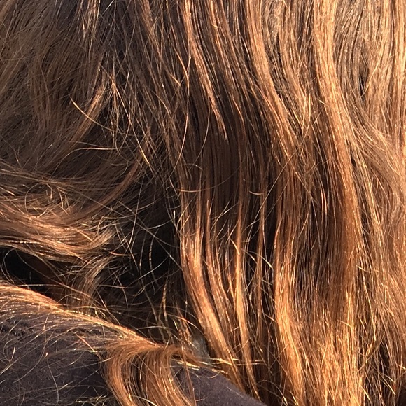 Meet your Posher, Moosie - Picture 1 of 1